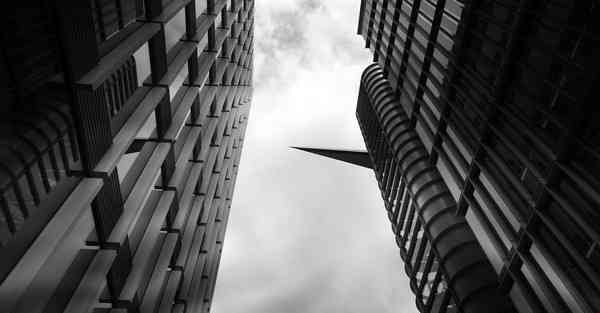 外国语单招大数据的行业文章