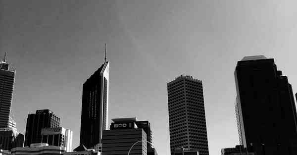 抖音AI绘画原来你是一只猫（抖音AI绘画原来你是一只猫怎么办）