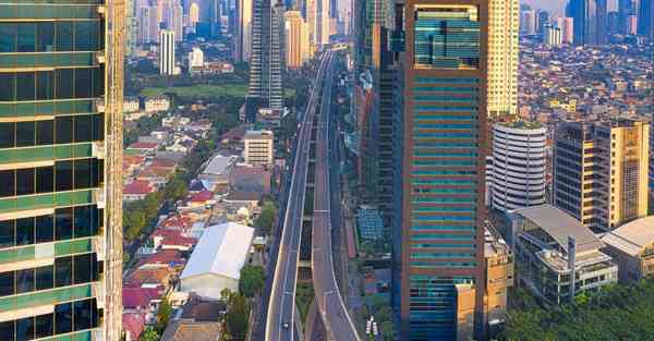 真正的国产智能机器人