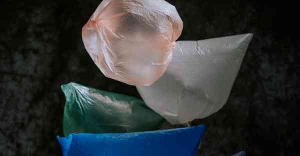 外国语单招大数据的行业文章