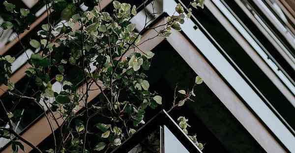 智能机器人管家创新点