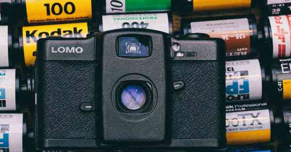 次元裂缝已打开AI绘画花瓣滤镜（次元裂缝已打开AI绘画剪映）