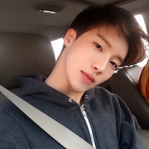 褚锦宽莲