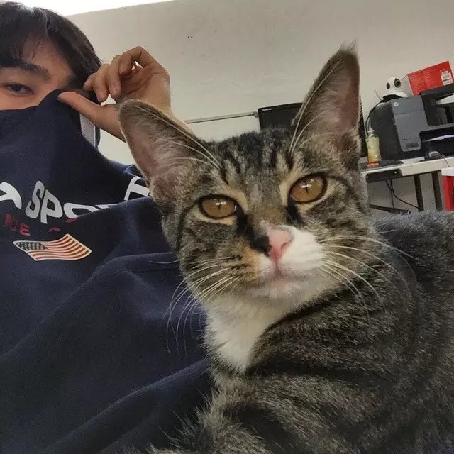 左勇杰苇
