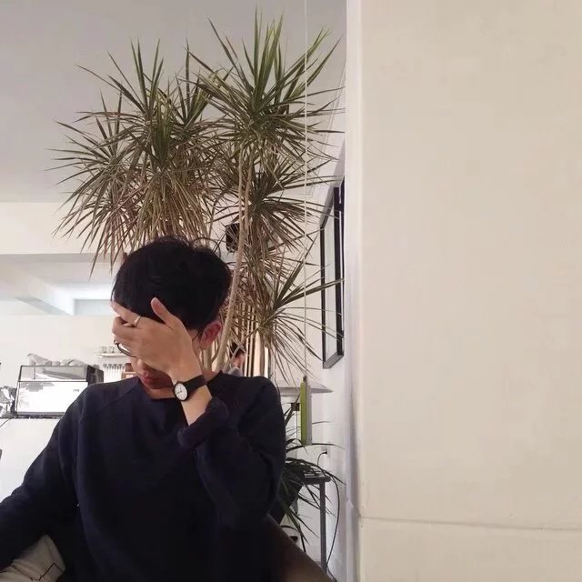 司鹏菁琼