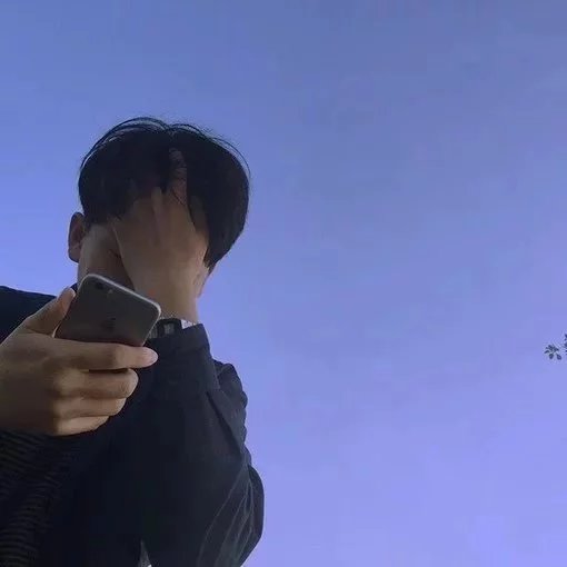 荀儿恒枫
