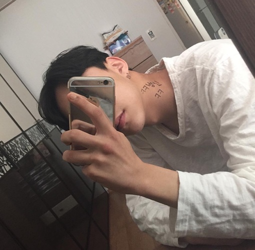 窦馥士强