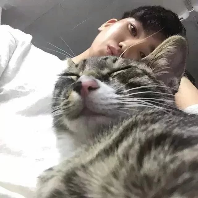 奚之桂民